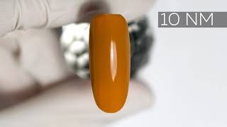 10 NM